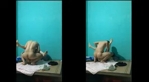 Dập nát bướm người yêu cũ